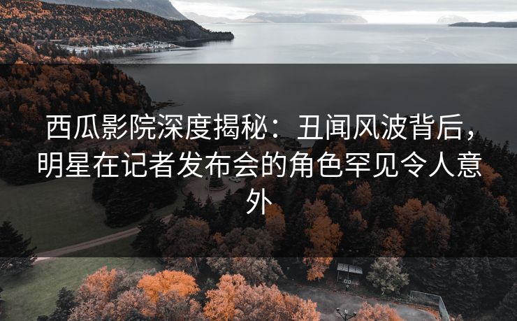 西瓜影院深度揭秘：丑闻风波背后，明星在记者发布会的角色罕见令人意外